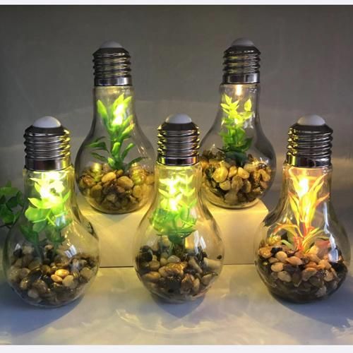 Lp3052 Garden Glass Light with Microlandscape, Decorated with Pebbles and Plants in Yellow Light