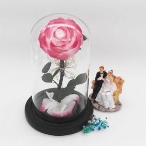 Wholesale Decorative Glass Dome with Base Preserved Timeless Roses
