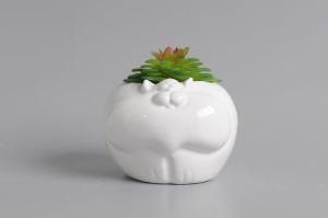 Ceramic Animal Decoration with Plant