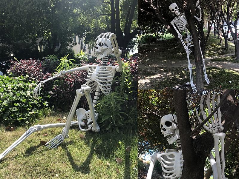 Cat Pose Skeleton Dog Full Size Halloween Skeleton for Party