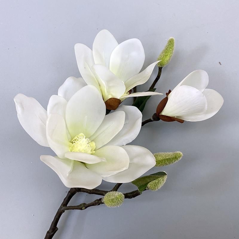 Factory Wholesale Real Touch 3D Print Magnolia Branches for Artificial Flower Tree