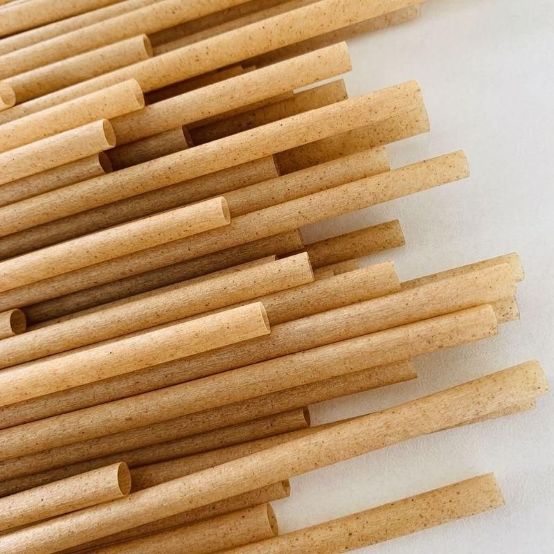 Sugarcane Straw with 100% Compostable Natural Material