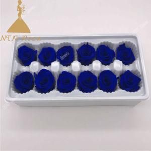 Grade a 3-4cm 10PCS Royal Blue Preserved Flower Heads for Floristry