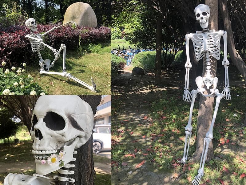 Removable 16" Life Size Human Halloween Skeleton