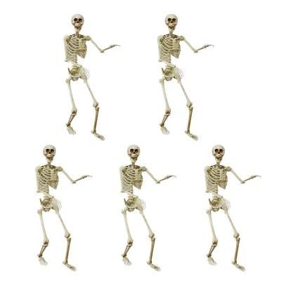 Mini Animal Large Halloween Skeleton for Holidays