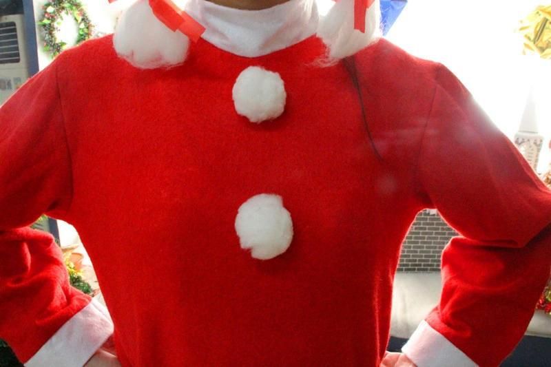 Christmas Santa Claus Dress for Women Santa Claus Dress Santa Claus Suits for Women