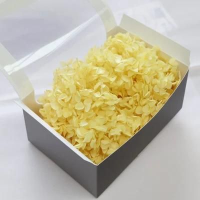 Preserved Flowers Natural Hydrangea Flower Head with Box Valentine&prime;s Day DIY Gift Wedding Decor 20g