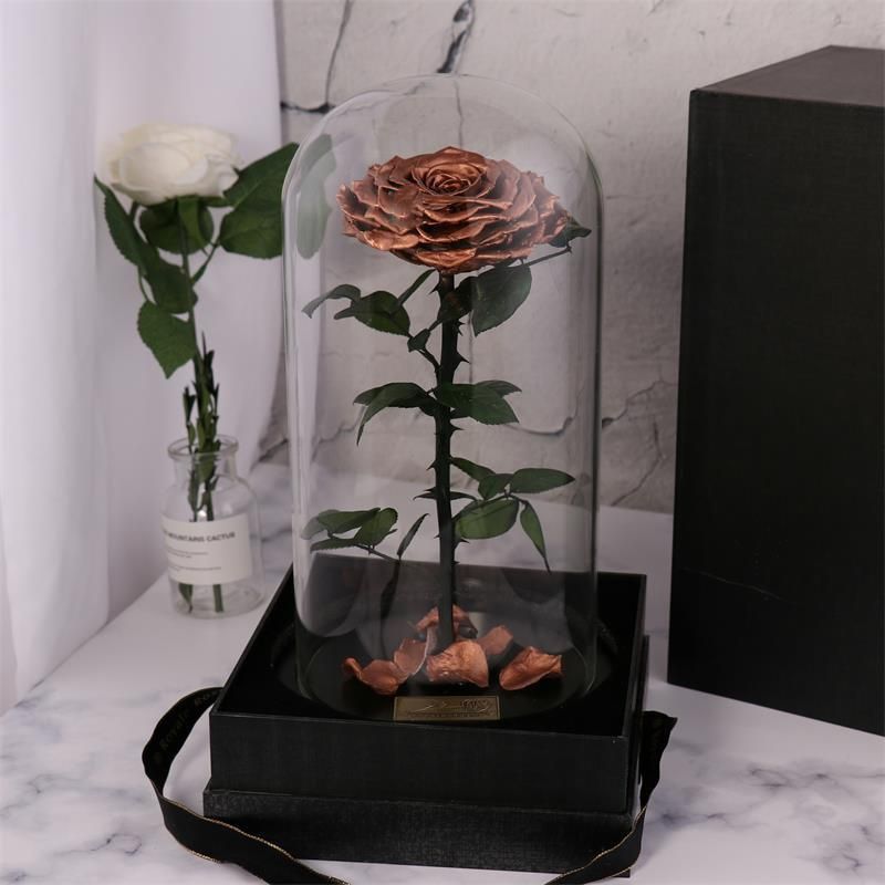 Real Natural Fresh Big Rose Preserved Flower Preserved Everlasting Real Roses in Glass Dome for Sale