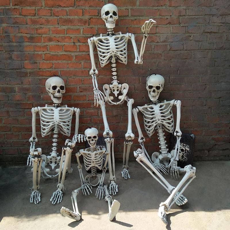 12 Foot Lawn Giant Large Headless Human Ornaments Halloween Skeleton