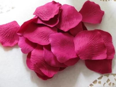 Decorative Fuchsia Dried Rose Petal