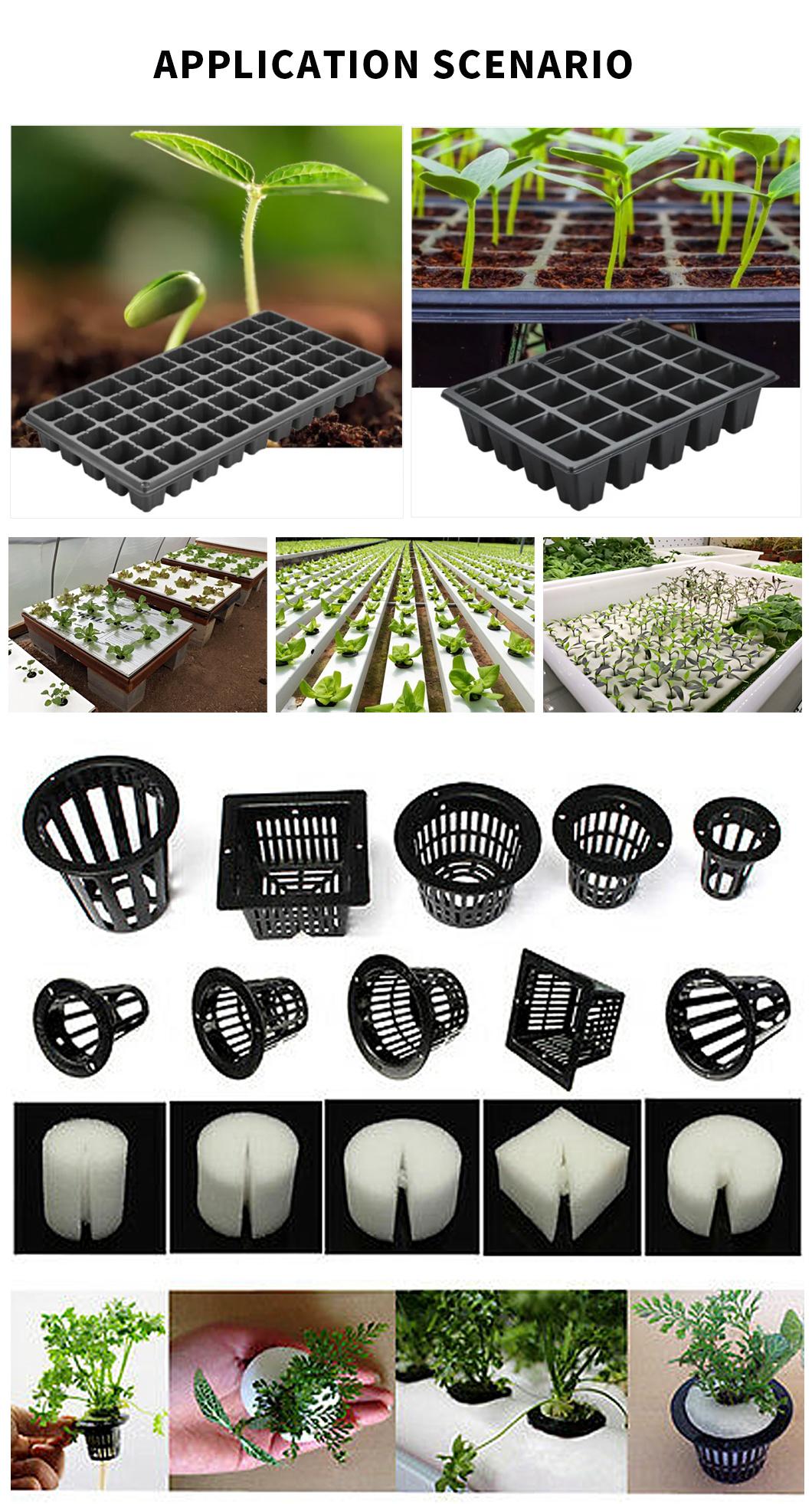 Green Water Absorption Easy to Cut Customized Extensive Shape Floral Foam Bricks
