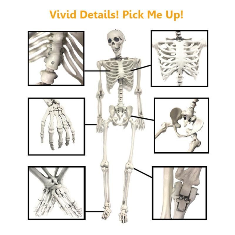 Pose-N-Stay Indoor Costume Headless Halloween Skeleton