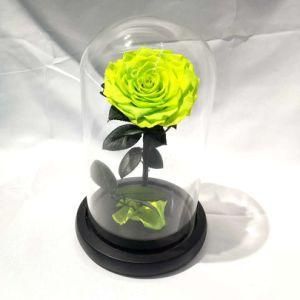 Kunming Flower Exporter Stabilized Rose in Glass Dome for Party Decoration