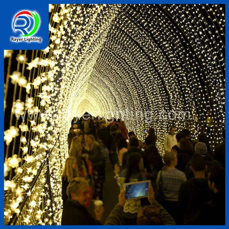 LED Decoration Outdoor Decoration Christmas Light LED String Light