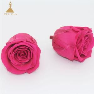 50 Colors 5-6 Cm Natural Eternity Rose Flowers for Party Decoration