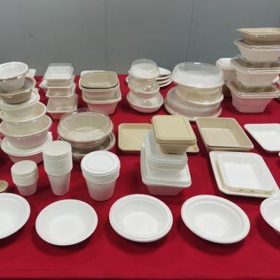 Sugarcane Compostable Bagasse Biodegradable Tableware Food Container