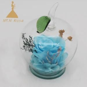 Creative Christmas Gift Preserved Flowers Rose in Apple-Shaped Glass
