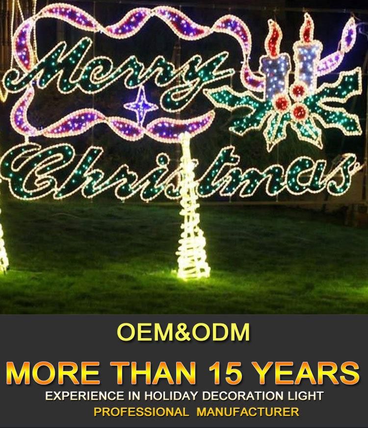 2021 Hot Sales New Year Christmas Decoration 2D Motif Lights