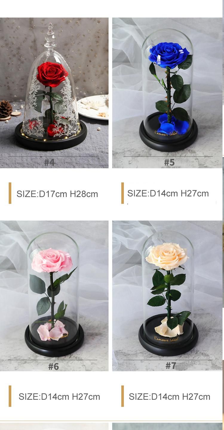 Eternal Rose- Preserved Flower Rose Handmade Fresh Flower Rose for Valentine′s Day Mother′s Day Christmas Anniversary Birthday Thanksgiving Girl (Bright Red)