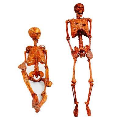 Movable Joints Toys Pose Skeleton Halloween Skeleton for Holidays