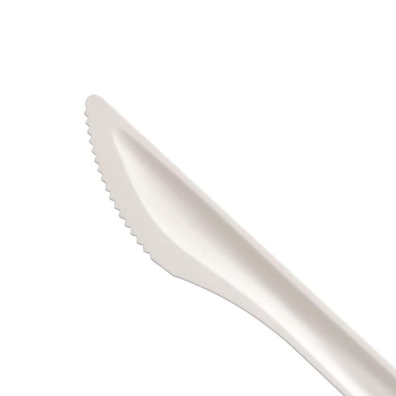 Biodegradable Disposable Sugarcane Bagasse Paper Cutlery Set Biodegradable Dinnerware