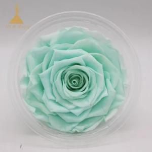 Hot Sale Eternal Rose Flower Preserved Wedding Gifts for Veterans Day