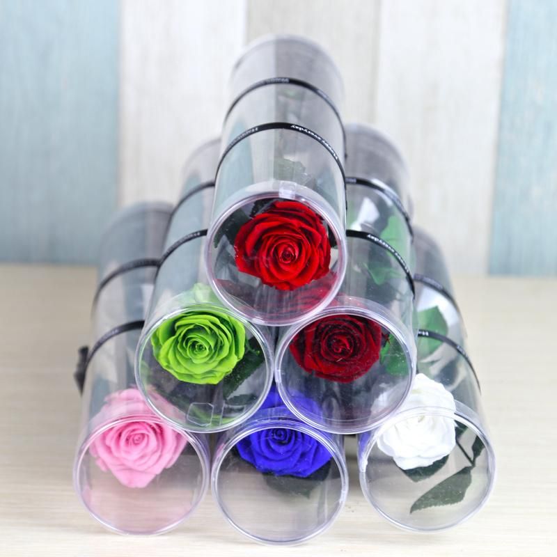 Christmas New Year Gifts Single Rose Preserved Rose Flower Stem Box in PVC Cylinder