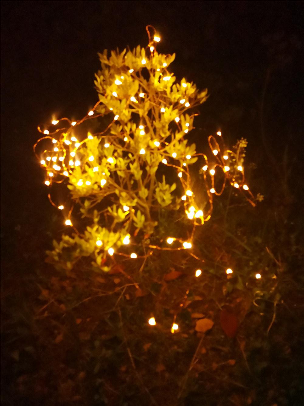 Hot Selling Cristmas Decorative Solar String Lamp with CE for Garden