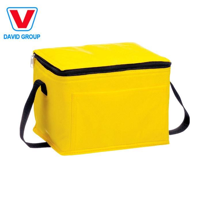 Factory Durable Waterproof Multipurpose Foldable Large Cooler Box Food Delivery Cooler Bag with Fast Delivery