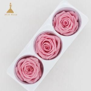 6-7cm New Products Natural Fresh Preserved Rose Flower