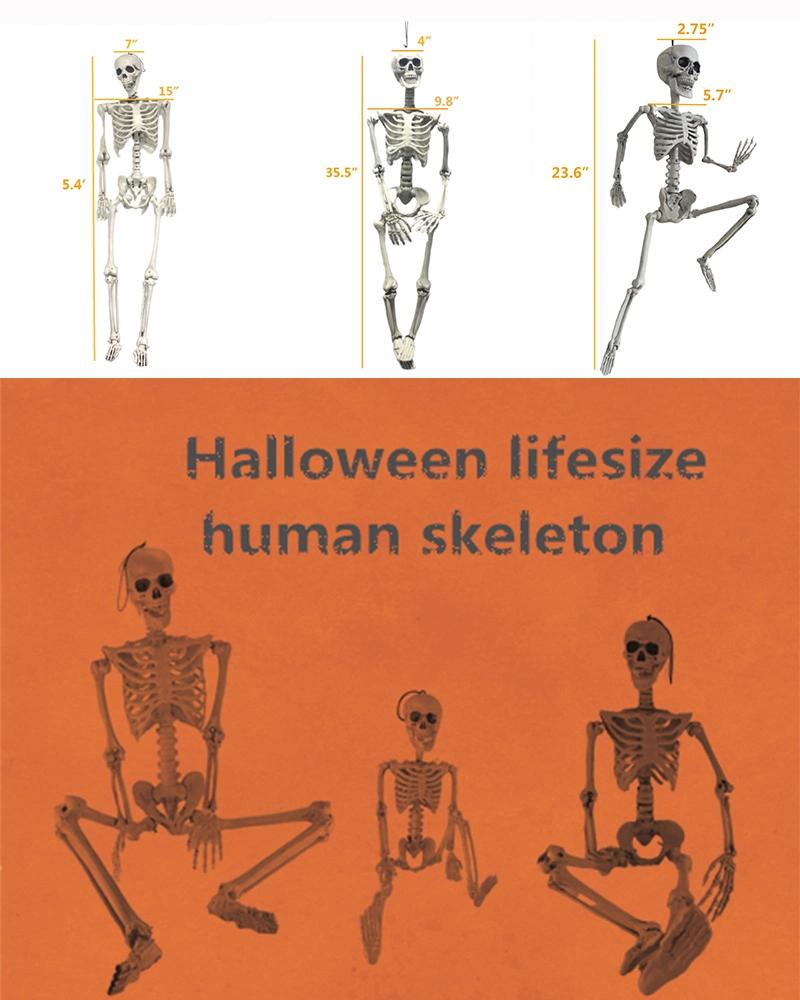 Wholesale Giant 5FT Human Bones Movable Joints Halloween Skeleton