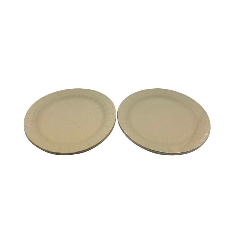 Eco Friendly Biodegradable Bamboo Birthday Party Paper Plates