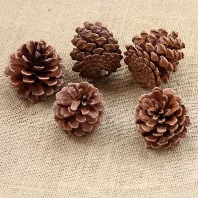 2021 New Arrivals Christmas Tree Hanging Natural Pine Cone for Decorative Materials