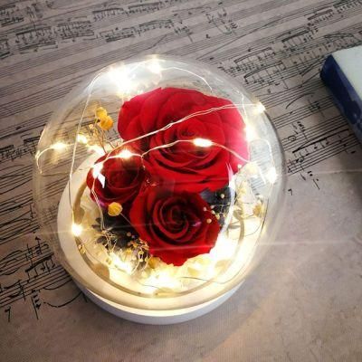 Preserved Eternal Rose Flower Gifts for Valentine&prime;s Day, Mother&prime;s Day, Christmas, Wedding, Anniversary, Birthday