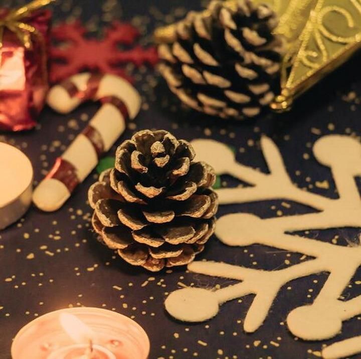 Christmas Tree Ornament Pendant Paint White Natural Pine Cones