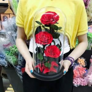 Glass Cover Eternity Roses Flowers for Floral Decor or Valentine&prime;s Day Gift