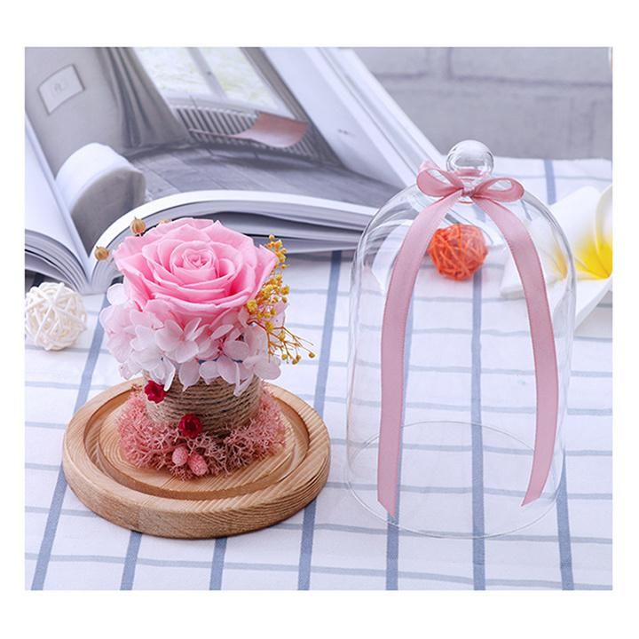 Wholesale Natural Long Lasting Flower Dried Glass Cover Preserved Roses