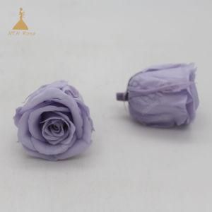 Light Purple Preserved Flower Roses for Gift &amp; Decor, Non Artificial Flowers