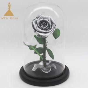 Le Petit Prince Preserved Enchanted Rose Flower in Glass Dome with Black Gift Box
