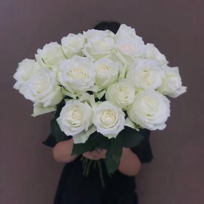 Fashion Fresh Cut White Rose Decorative Flower Wedding Flower for Home Decoration