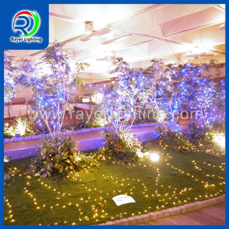 LED Outdoor Twinkle Lights Wedding Decoration Outdoor LED Lighting Chain
