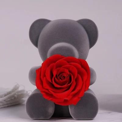 Real Preserved Rose Bear- Eternal Rose Teddy Bear Gift Box Handmade Fresh Rose Gift for Her on Birthday, Christmas, Mother&prime;s Day, Valentine&prime;s Day