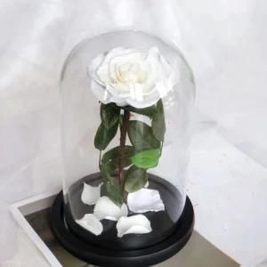 Long Lasting 7cm White Rose in 15*22cm Glass Dome with Wooden Base for Decor