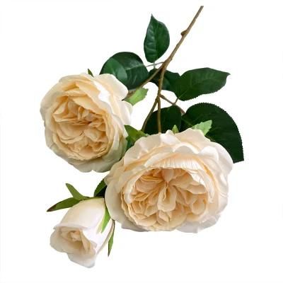 High Quality Artificial Austin Rose Flower for Wedding Decoration