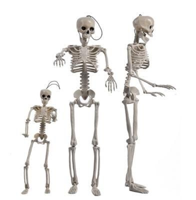 60cm Halloween Skeleton Haunted House Props Bone Head Decorationmarked Human Skeleton