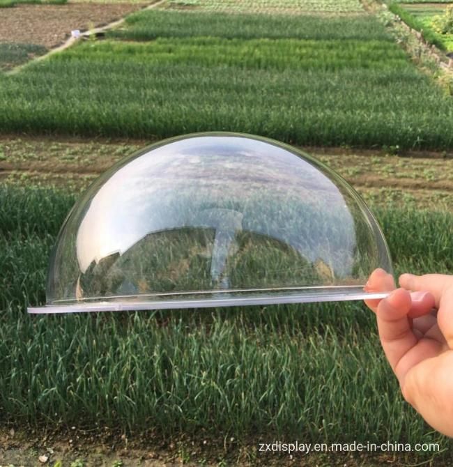 Plexiglass Transparent Hemisphere Clear Acrylic Dome with Edge