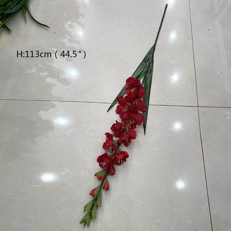 Tall Vase Gladiolus Wedding Flowers with Long Stem Wholesale