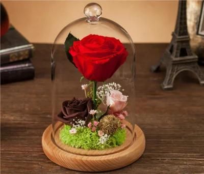Wholesale Eternal Forever Rose Preserved in Glass as Gift