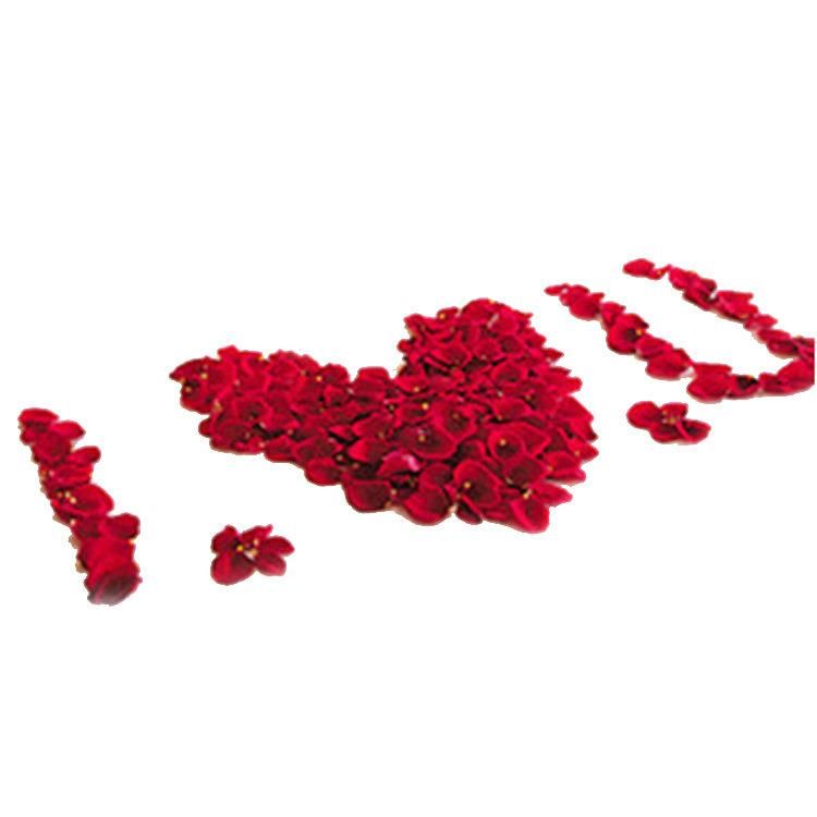 Valentine′s Day Wedding Room Decorated Hand Throw Flowers Imitation Silk Rose Petals