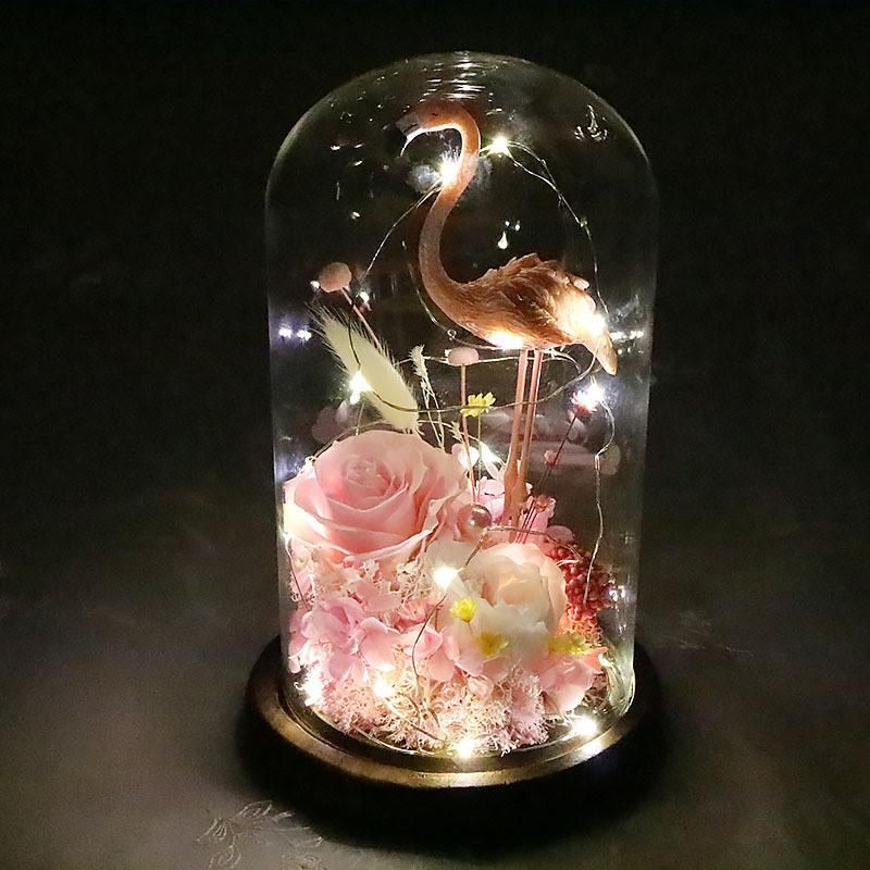 100% Fresh Natural Long Life Real Preserved Flower Preserved Bird Rose in LED Light Glass Dome